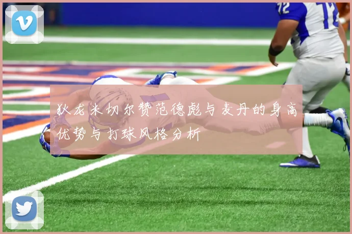 狄龙米切尔赞范德彪与麦丹的身高优势与打球风格分析