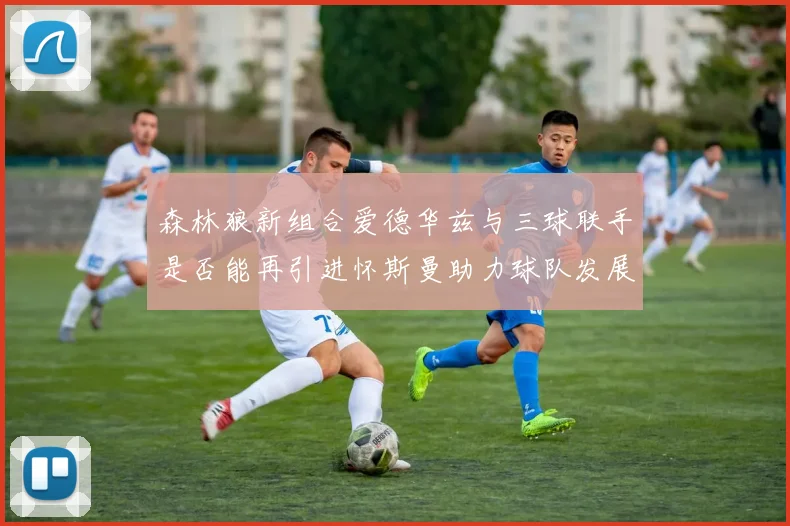 森林狼新组合爱德华兹与三球联手是否能再引进怀斯曼助力球队发展